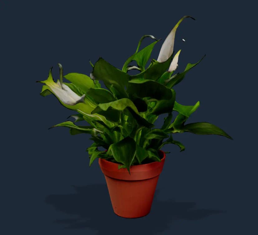 Plant - Photo to 3D Model