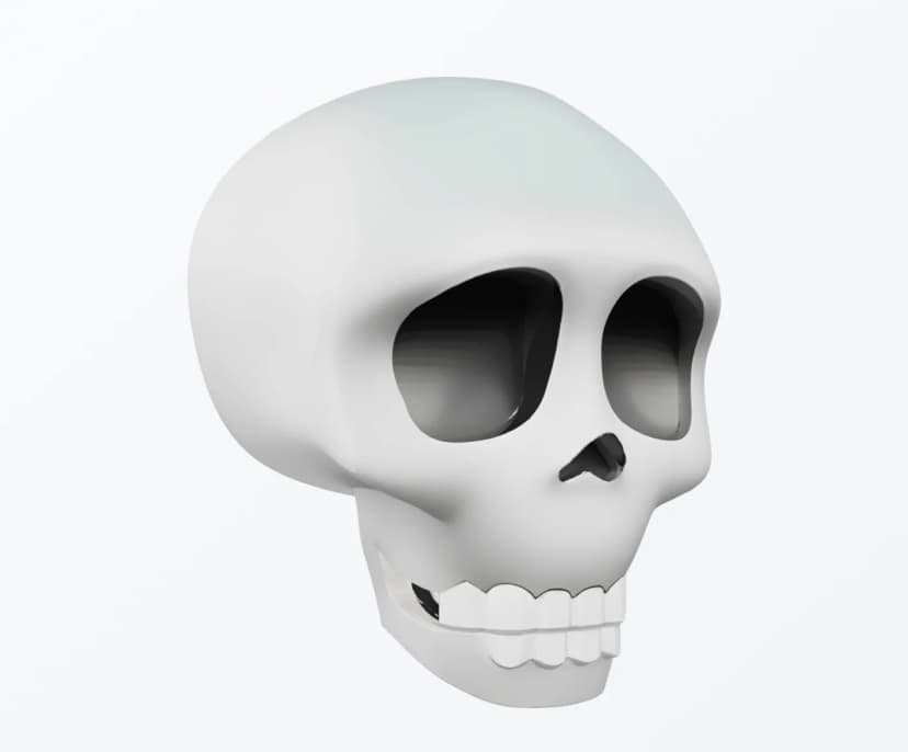 Skeleton - Photo to 3D Model