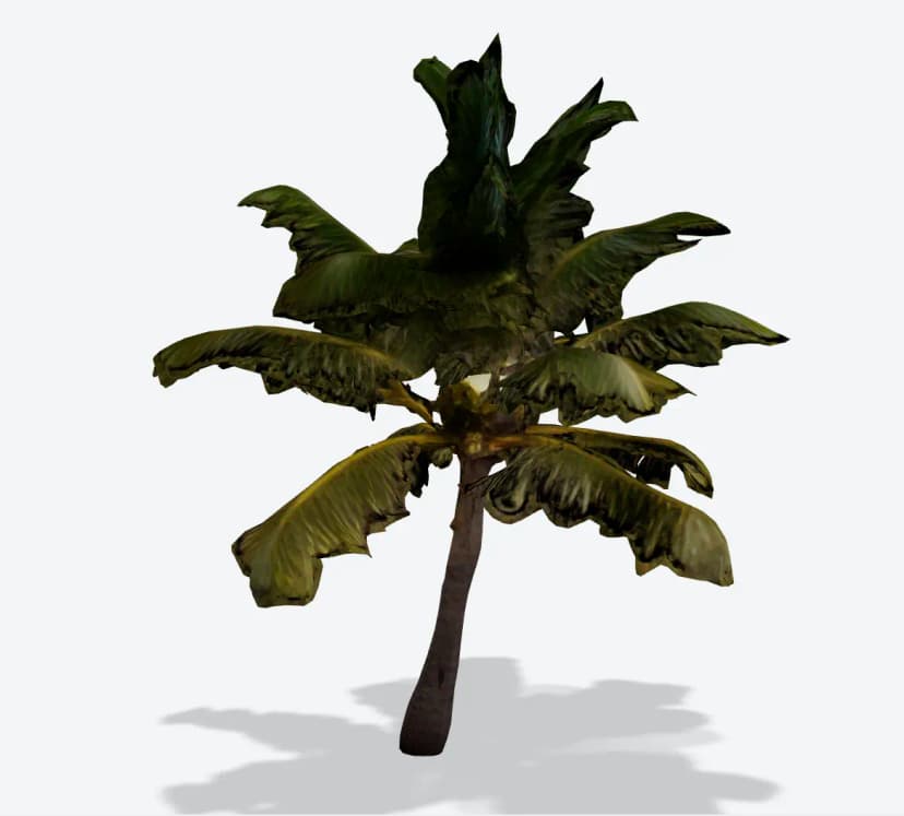 Palm - Photo to 3D Model